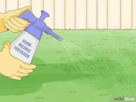 Image intitulée Treat Lawn Fungus Step 10