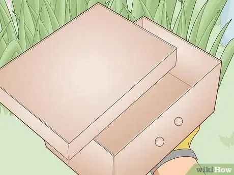 Image intitulée Trap a Backyard Bird Step 26