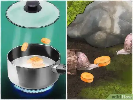 Image intitulée Care for Garden Snails Step 12