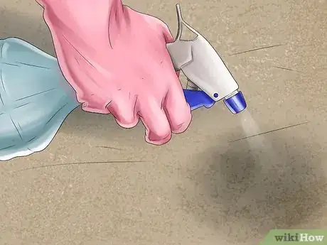 Image intitulée Get Rid of Dog Urine Smell Step 5