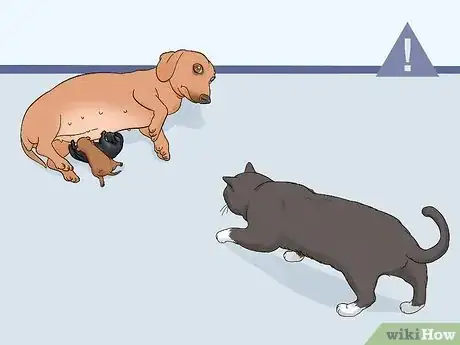 Image intitulée Care for Newborn Puppies Step 23
