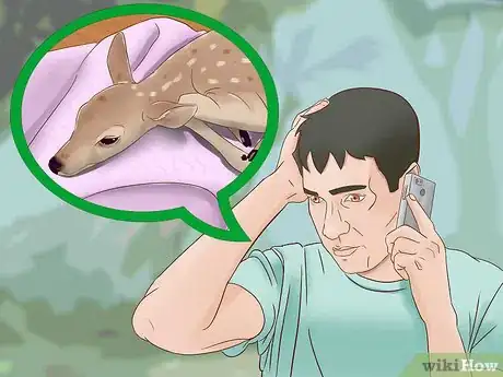 Image intitulée Tell a Fawn's Age Step 11