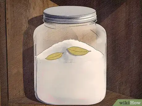 Image intitulée Get Rid of Ants Naturally Step 11