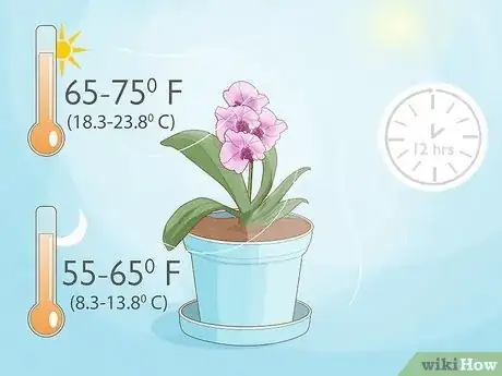 Image intitulée Grow Orchids Step 7