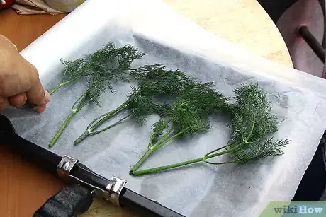 Image intitulée Dry Dill Step 14