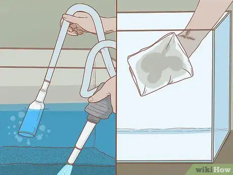 Image intitulée Know How Many Fish You Can Place in a Fish Tank Step 11