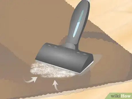 Image intitulée Get Dog Urine Smell out of Carpets Step 5