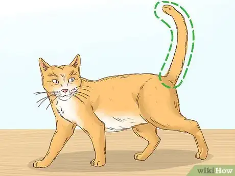 Image intitulée Know if a Cat Is a Stray Step 4