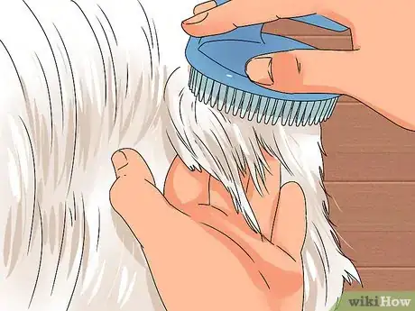Image intitulée Groom Shih Tzus Step 5
