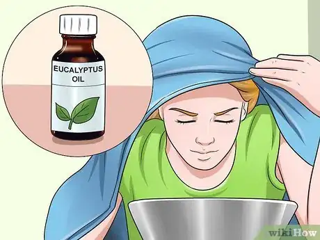 Image intitulée Get Rid of the Flu Step 1