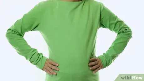 Image intitulée Make a Tinkerbell Costume Step 1