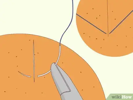 Image intitulée Practice Surgery Skills on Fruit Step 3