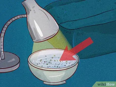 Image intitulée Tell if Your Dog Has Fleas Step 9