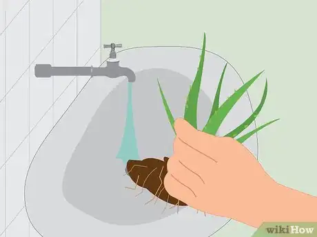 Image intitulée Measure Growth Rate of Plants Step 17