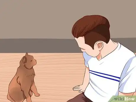 Image intitulée Stop Being Afraid of Cats Step 8