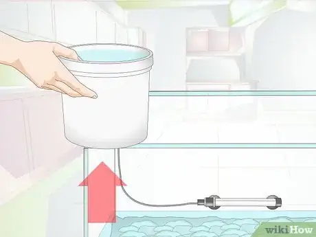Image intitulée Clean Aquarium Gravel Step 16