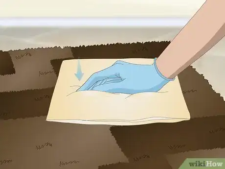 Image intitulée Get Dog Urine Smell out of Carpets Step 12