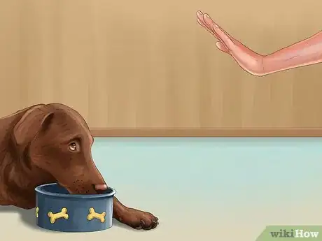 Image intitulée Check Pet Food Recalls Step 7