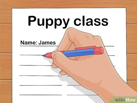 Image intitulée Take Care of Puppies Step 41