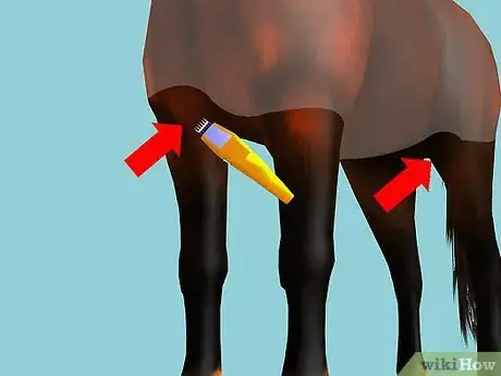 Image intitulée Clip Your Horse Step 20