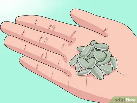 Image intitulée Plant Sunflower Seeds Step 16