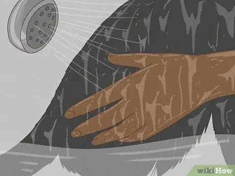Image intitulée Get Mousetrap Glue Off a Cat Step 9