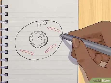Image intitulée Draw an Animal Cell Step 6