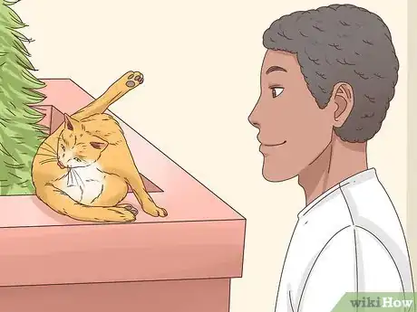 Image intitulée Know if a Cat Is a Stray Step 3