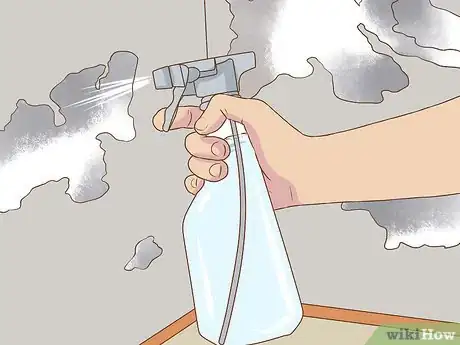 Image intitulée Clean White Mold Step 2