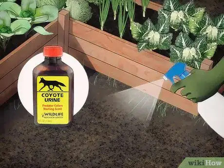 Image intitulée Keep Animals Out of Your Vegetable Garden Step 4