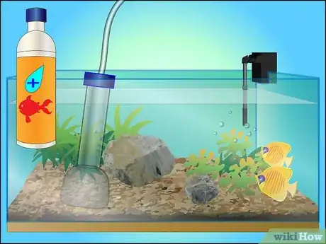 Image intitulée Take Care of Your Fish (Tanks) Step 7