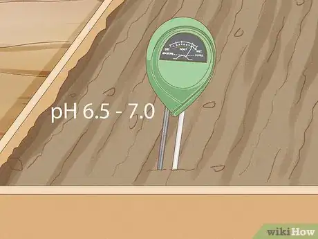 Image intitulée Grow Spinach Step 6