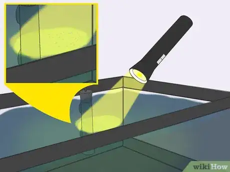 Image intitulée Raise Brine Shrimp Step 23