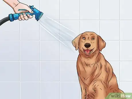 Image intitulée Treat Kennel Cough Step 8