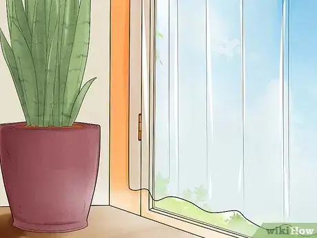 Image intitulée Care for a Sansevieria or Snake Plant Step 3