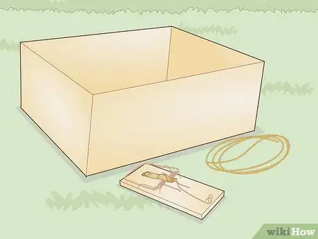 Image intitulée Trap a Backyard Bird Step 13