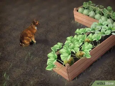 Image intitulée Keep Animals Out of Your Vegetable Garden Step 7