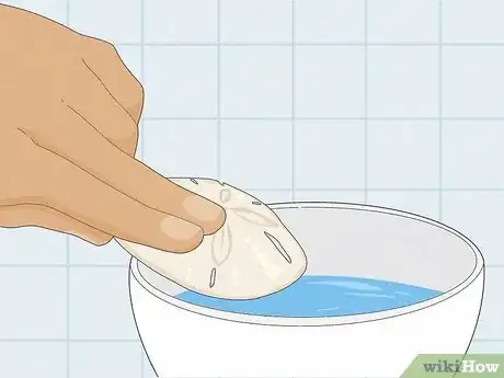 Image intitulée Clean Sand Dollars Step 8
