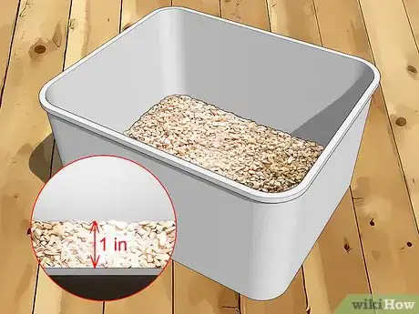 Image intitulée Raise Mealworms Step 2