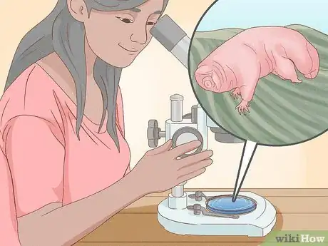 Image intitulée Find and Care for a Pet Tardigrade (Water Bear) Step 11
