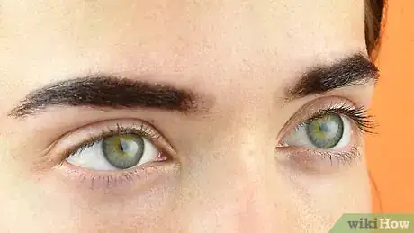 Image intitulée Make Eyebrow Tint at Home Step 11
