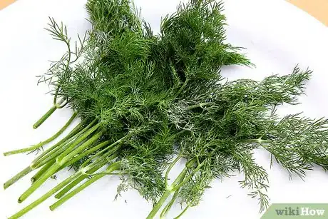 Image intitulée Dry Dill Step 12