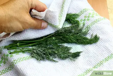 Image intitulée Dry Dill Step 18