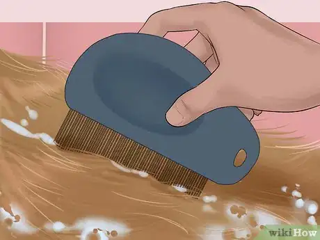Image intitulée Use Apple Cider Vinegar for Dogs Step 11