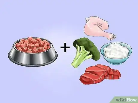 Image intitulée Get Your Dog to Eat Dry Food Step 7