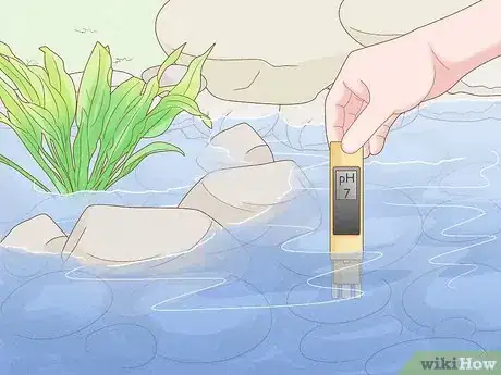 Image intitulée Raise Salmon in a Pond Step 4