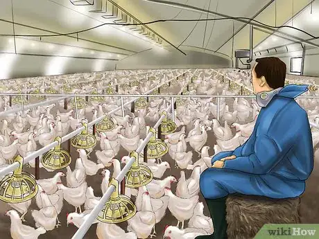 Image intitulée Vaccinate Chickens Step 36