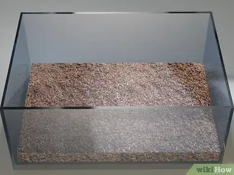 Image intitulée Care for Snails Step 2Bullet2