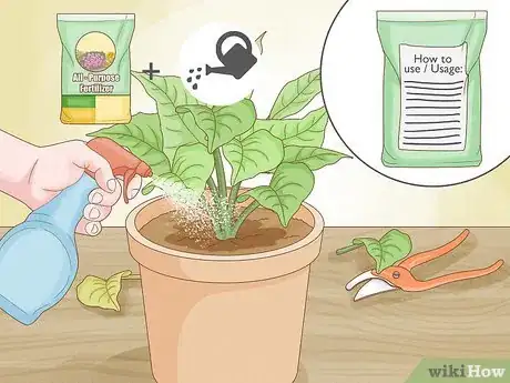 Image intitulée Prune Houseplants Step 9