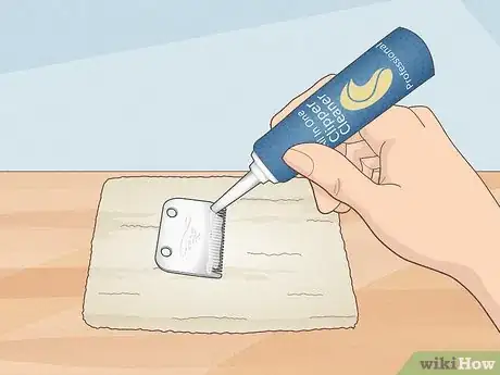 Image intitulée What Can You Use to Clean Your Clipper Blades Step 7
